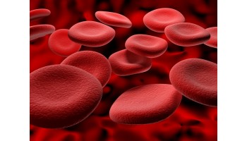 everything about Hemoglobin